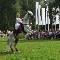 Кремлевская школа верховой езды. Юлия Калинина и ее конь Живописный. :: Наташа *****