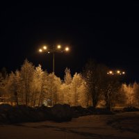 Зимняя ночь :: Ольга 