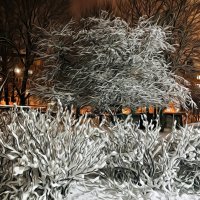 Зима :: Валерия Комова