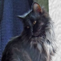 Портрет котика... :: Тамара Бедай 