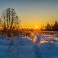 Мороз vs. Солнца # 11 :: Андрей Дворников