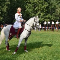 Кремлевская школа верховой езды в Воронцово. Юлия Калинина и ее конь Живописный. :: Наташа *****
