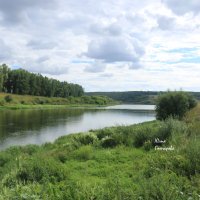 Река Дон, Липецкая область :: Юлия 