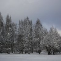 Зима-это время, когда ждешь лето, но в тоже время безумно радуешься снегопаду. :: Tatiana Markova