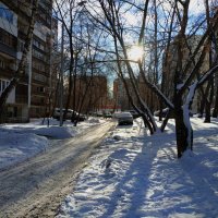 Первое солнце февраля - почти мартовское :: Андрей Лукьянов