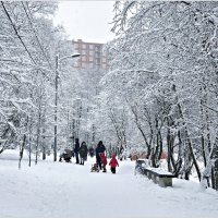 Зимняя прогулка. :: Валерия Комова