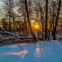 Мороз vs. Солнца # 14 :: Андрей Дворников