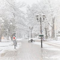 Снегопад :: vladimir 
