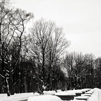 В зимнем парке :: Михаил Малец