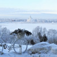 зимнее утро :: НАТАЛЬЯ 