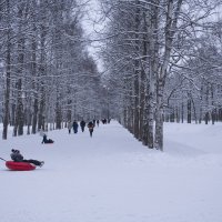 И прогуляться здесь не лень , среди березовых аллей :: Валентина Папилова