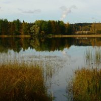 Озеро :: Ольга Саранцева