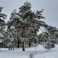 ж/д станция Ладожское озеро.  Дорога Жизни :: Елена Павлова (Смолова)