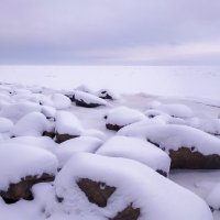 На берегу залива :: Роман Алексеев