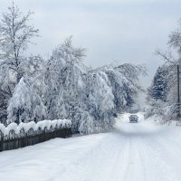 Зимняя дорога :: Людмила Гулина