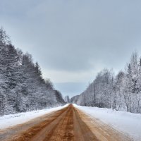 Дорога на север :: Владимир Барышев
