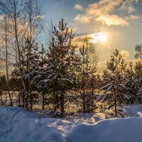 Солнце vs. Мороза # 1 :: Андрей Дворников