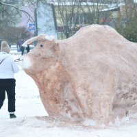 *****В городе  фигуры  из  снега... :: Анатолий Михайлович