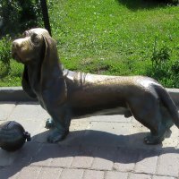 Памятник собаке Бобке в Костроме :: Ольга Довженко