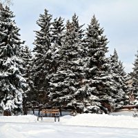 Пока ещё морозно в феврале... :: Андрей Заломленков