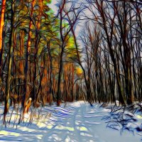 В зимней сказке леса... :: Андрей Заломленков
