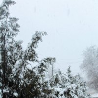 Снег, снежок... :: Любовь Зайцева