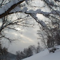 Зимний пейзаж :: Светлана 