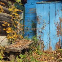Осень :: Елена Минина