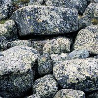 Камни на берегу :: Сергей Курников