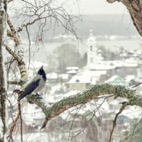 Персональный гид. :: Михаил 