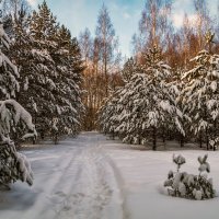 Солнце vs. Мороза # 5 :: Андрей Дворников