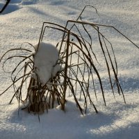 Снег и солнце :: Heinz Thorns