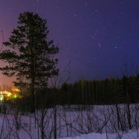 Под созвездием Ориона. Окрестности зимней Ухты. :: Николай Зиновьев