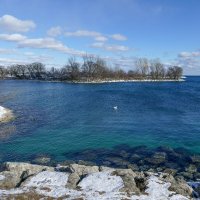 Оз. Онтарио, островок и плывущий лебедь, февраль 2021 г. :: Юрий Поляков