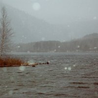 Зимняя река :: Павел Бабанов