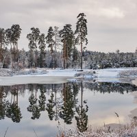 Лесное озеро :: Александр Тулупов