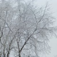 Снежно-метельное :: Raduzka (Надежда Веркина)