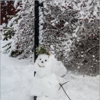 Добрячок-снеговичок :: Влад Чуев