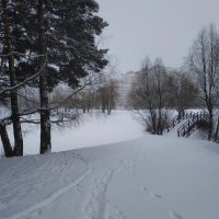 Снегопад, от которого я ждал чего-то большего :: Андрей Лукьянов