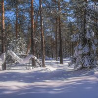 Снежное покрывало :: Vladimbormotov 