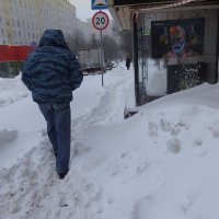 "Такого снегопада...такого снегопада давно не знали здешние места... :: ZNatasha -