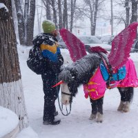 Приземлился :: Инна Драбкина