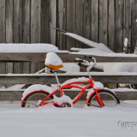 Даже снег сел на велосипед... :: Сергей Шаврин