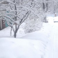 Когда много снега :: Елена Семигина