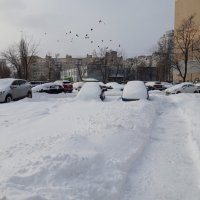 Автосугробы... ХорошА зима! :: Тамара Бедай 