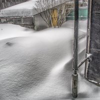 Февральский снегопад наступает...2021 :: Юрий Яньков