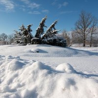 *** :: Геннадий Порохов