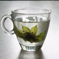 Зелёный чай с мятой. :: Нина Сироткина 