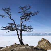 о Ольхон озеро Байкал :: Надежда Шубина