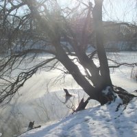 Зима в Ростове :: Нина Бутко